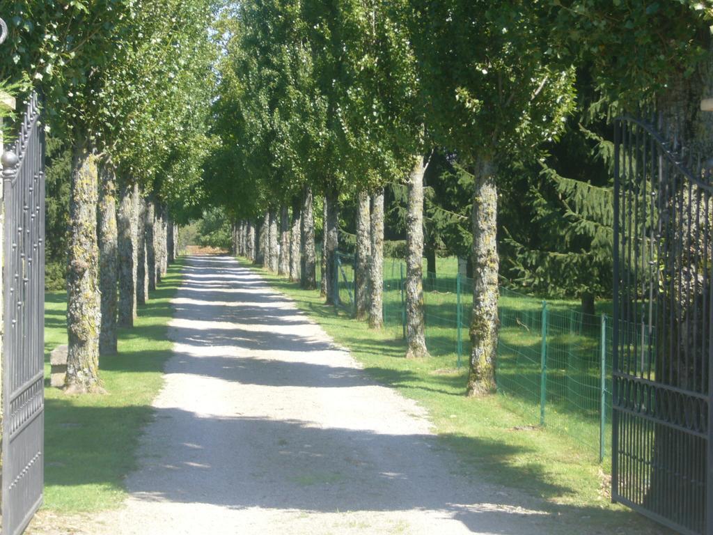 לינה וארוחת בוקר Chevigny Allee Des Peupliers מראה חיצוני תמונה